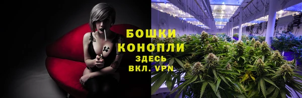 PSILOCYBIN Абаза