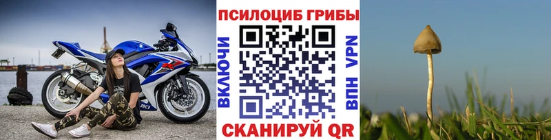 Галлюциногенные грибы прущие грибы  Кингисепп 